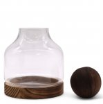 (image for) Medium Ball Top Terrarium on Dark Tung Wood