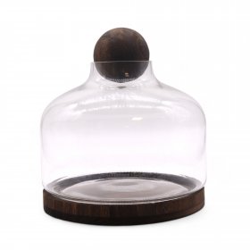 Ex-Large Ball Top Terrarium on Dark Tung Wood Ex-Large Ball Top Terrarium on Dark Tung Wood