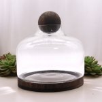 (image for) Ex-Large Ball Top Terrarium on Dark Tung Wood