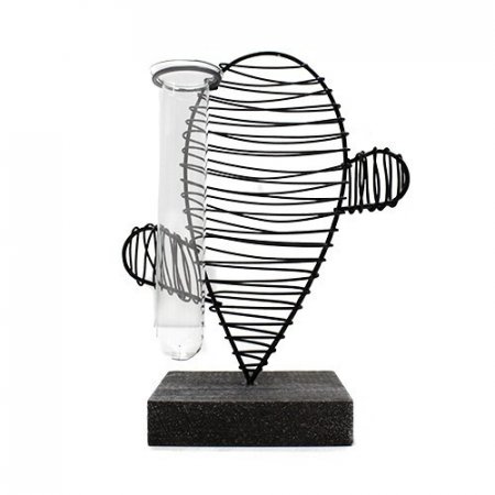 (image for) Hydroponic Home Décor - Cactus & Lab Pot