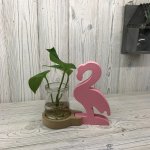 (image for) Hydroponic Home Décor - Pink Flamingo Pot