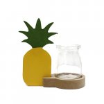 (image for) Hydroponic Home Décor - Pineapple Pot