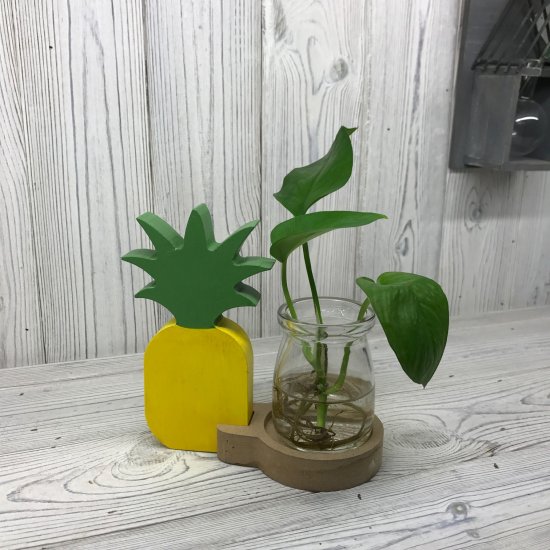 (image for) Hydroponic Home Décor - Pineapple Pot