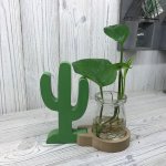 (image for) Hydroponic Home Décor - Cactus Pot
