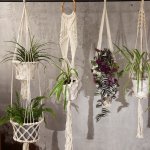 (image for) Macrame Pot Holder - Single Small Pot