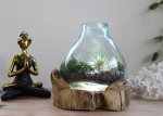 (image for) Molten Glass Large Fish Tank 3.7 litre (with light cavity)- 30cm