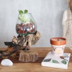 (image for) Molten Glass on Wood with Stand - Large Bowl