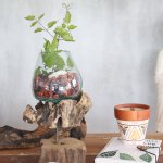 (image for) Molten Glass on Wood with Stand - Large Bowl