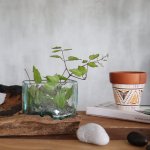 (image for) Molten Glass Tank on Wood with Stand - Medium Bowl