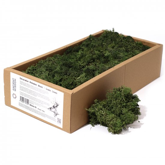 (image for) Decoration Reindeer Moss - Grass Green - (approx 500gm)