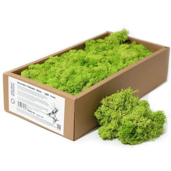 (image for) Decoration Reindeer Moss - Light Grass - (approx 500gm)