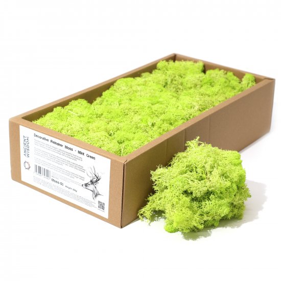 (image for) Decoration Reindeer Moss - Mint Green - (approx 500gm)
