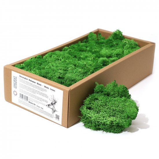(image for) Decoration Reindeer Moss - Moss Green - (approx 500gm)