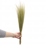 (image for) Set 4 - Pampas Broom - Natural