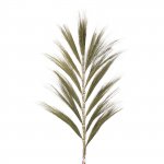 (image for) Rayung Grass Natural - 1.6m