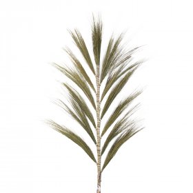 Rayung Grass Natural - 1.6m Rayung Grass Natural - 1.6m