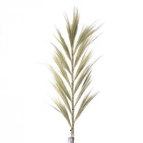 Rayung Grass Blond - 1.6m Rayung Grass Blond - 1.6m