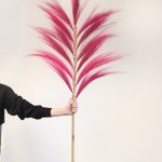 (image for) Rayung Grass Pink- 1.6m