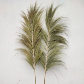 Rayung Grass Natural - 2m Rayung Grass Natural - 2m