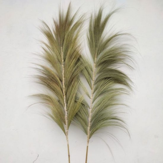 (image for) Rayung Grass Natural - 2m