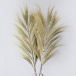 (image for) Rayung Grass Blond - 2m