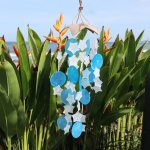 (image for) Coconut & Capiz Windchimes - Blue and White Stars - 30cm