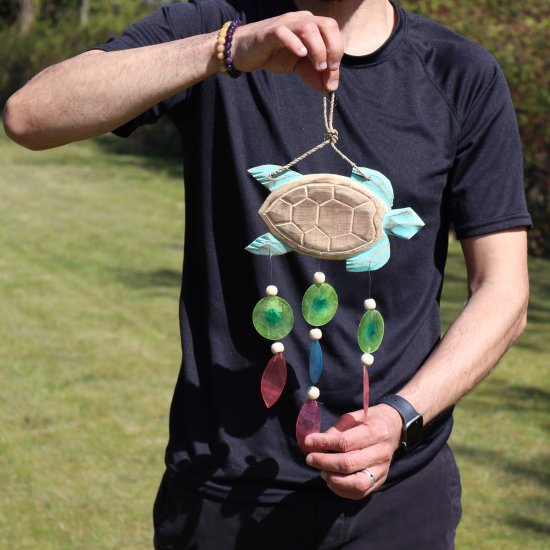 (image for) Aqua Turtle Carving and Copis Drop