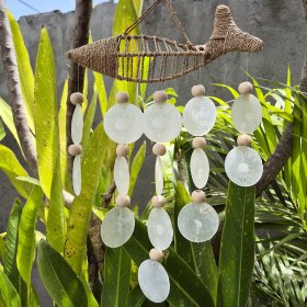 String Fish and Natural Copis Drop