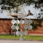 (image for) String Fish and Natural Copis Drop