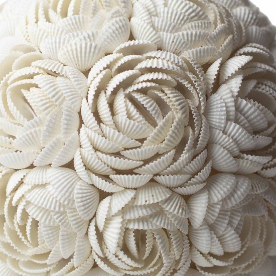 (image for) Boho Sea Shell Lamp - Rose Oval - 20cm