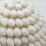 (image for) Boho Sea Shell Lamp - Buting Shell Oval - 15cm