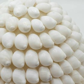 Boho Sea Shell Lamp - Buting Shell Oval - 15cm