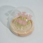 (image for) Floral Glow Garden Dome - 10 Pink Roses - LED USB
