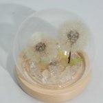 (image for) Floral Glow Garden Dome - 2 Dandelions - LED USB
