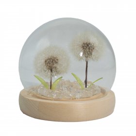 Floral Glow Garden Dome - 2 Dandelions - LED USB Floral Glow Garden Dome - 2 Dandelions - LED USB