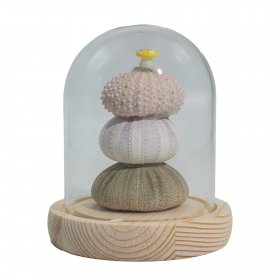 Floral Glow Garden Dome - 3 Sea Urchins - LED USB Floral Glow Garden Dome - 3 Sea Urchins - LED USB