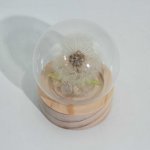(image for) Floral Glow Garden Dome - 1 Dandilion- LED Battery
