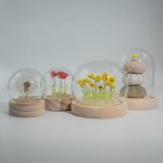 (image for) Floral Glow Garden Dome - 1 Dandilion- LED Battery