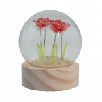 (image for) Floral Glow Garden Dome - 5 Red Roses - LED Battery