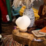 (image for) New Wave Lamp - USB - 3 settings - Shell Twisted