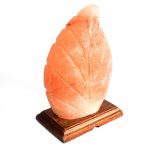 (image for) Shape Salt Lamp - Fern