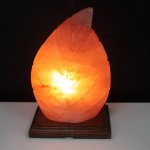 (image for) Shape Salt Lamp - Fern
