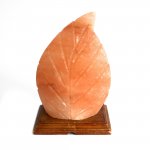 (image for) Shape Salt Lamp - Fern