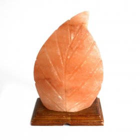 Shape Salt Lamp - Fern Shape Salt Lamp - Fern