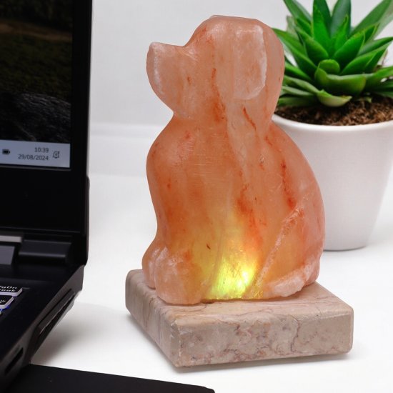 (image for) USB Dog Shaped (Multi)