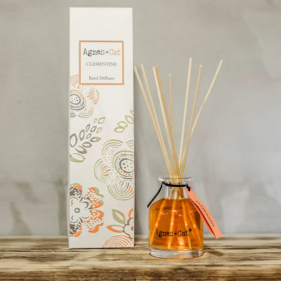 Agnes + Cat Reed Diffusers